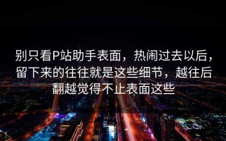 别只看P站助手表面，热闹过去以后，留下来的往往就是这些细节，越往后翻越觉得不止表面这些