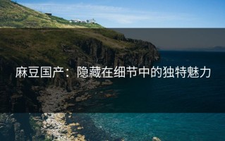 麻豆国产：隐藏在细节中的独特魅力