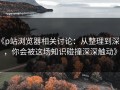 《p站浏览器相关讨论：从整理到深思，你会被这场知识碰撞深深触动》