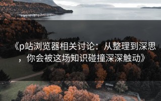 《p站浏览器相关讨论：从整理到深思，你会被这场知识碰撞深深触动》