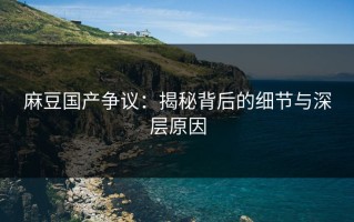 麻豆国产争议：揭秘背后的细节与深层原因