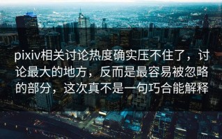 pixiv相关讨论热度确实压不住了，讨论最大的地方，反而是最容易被忽略的部分，这次真不是一句巧合能解释