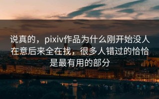 说真的，pixiv作品为什么刚开始没人在意后来全在找，很多人错过的恰恰是最有用的部分
