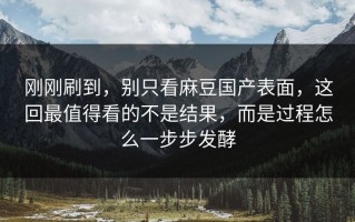 刚刚刷到，别只看麻豆国产表面，这回最值得看的不是结果，而是过程怎么一步步发酵