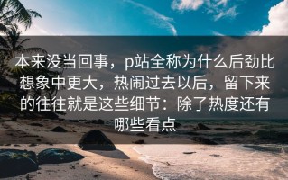本来没当回事，p站全称为什么后劲比想象中更大，热闹过去以后，留下来的往往就是这些细节：除了热度还有哪些看点
