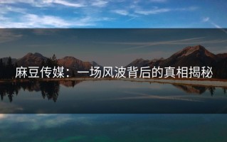 麻豆传媒：一场风波背后的真相揭秘