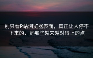 别只看P站浏览器表面，真正让人停不下来的，是那些越来越对得上的点