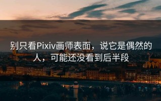 别只看Pixiv画师表面，说它是偶然的人，可能还没看到后半段