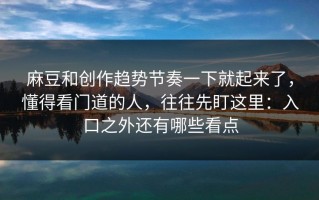 麻豆和创作趋势节奏一下就起来了，懂得看门道的人，往往先盯这里：入口之外还有哪些看点