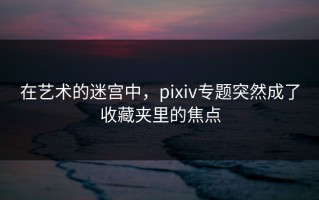 在艺术的迷宫中，pixiv专题突然成了收藏夹里的焦点