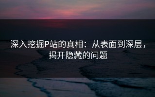 深入挖掘P站的真相：从表面到深层，揭开隐藏的问题