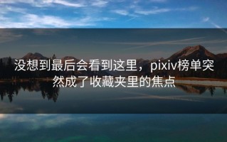 没想到最后会看到这里，pixiv榜单突然成了收藏夹里的焦点