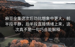 麻豆全集这次后劲比想象中更大，前半段平静，后半段直接情绪上来，这次真不是一句巧合能解释