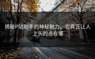 揭秘P站助手的神秘魅力，它真正让人上头的点在哪