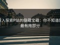 深入探索P站的隐藏宝藏：你不知道的最有用部分
