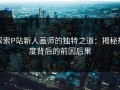探索P站新人画师的独特之道：揭秘热度背后的前因后果