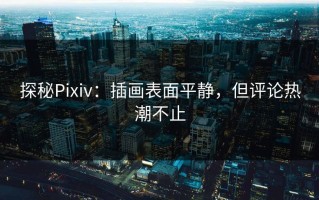 探秘Pixiv：插画表面平静，但评论热潮不止