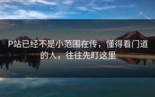 P站已经不是小范围在传，懂得看门道的人，往往先盯这里