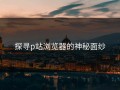 探寻p站浏览器的神秘面纱