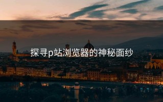探寻p站浏览器的神秘面纱