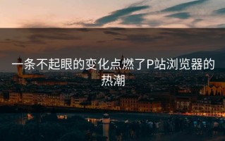 一条不起眼的变化点燃了P站浏览器的热潮