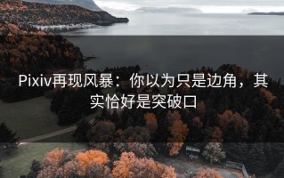 Pixiv再现风暴：你以为只是边角，其实恰好是突破口