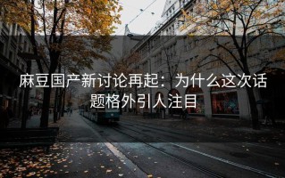 麻豆国产新讨论再起：为什么这次话题格外引人注目