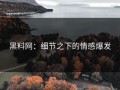 黑料网：细节之下的情感爆发