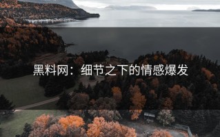黑料网：细节之下的情感爆发