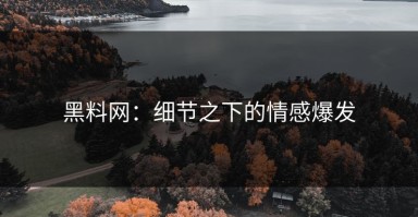 黑料网：细节之下的情感爆发