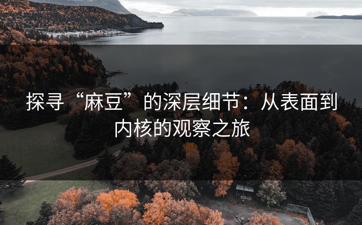 探寻“麻豆”的深层细节：从表面到内核的观察之旅-第1张图片-p站镜像热点页 - p站影视站