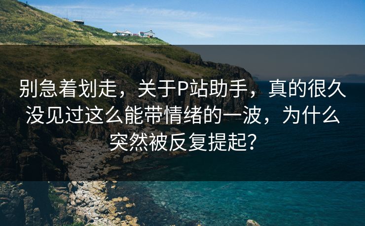 别急着划走，关于P站助手，真的很久没见过这么能带情绪的一波，为什么突然被反复提起？-第1张图片-p站镜像热点页 - p站影视站