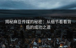 揭秘麻豆传媒的秘密：从细节看看背后的成功之道
